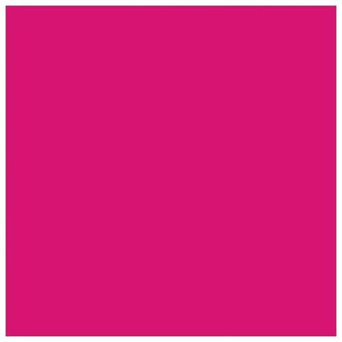 UNIDAD DE REVELADOR MAGENTA PARA CS/CX310/410/510