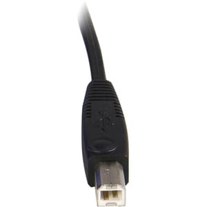 StarTech.com 10 pi 2