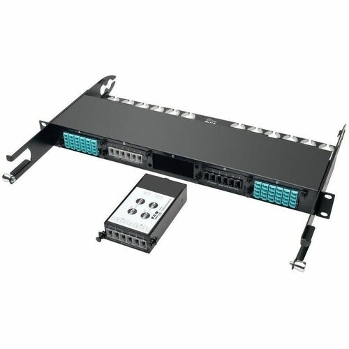 Tripp Lite 2 x 24 Fiber MTP/MPO to 6 x 12 Fiber MTP/MPO Breakout Cassette - 2 x