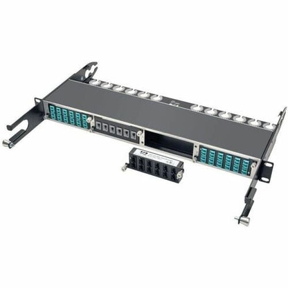 Tripp Lite 100Gb / 120Gb Pass-Through Cassette 12 24-Fiber MTP / MPO - 24 x MTP