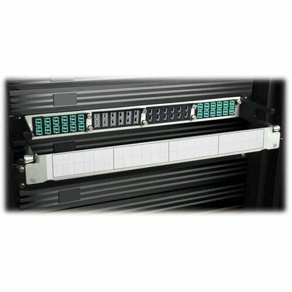 Tripp Lite 100Gb / 120Gb Pass-Through Cassette 12 24-Fiber MTP / MPO - 24 x MTP