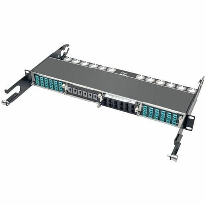 Tripp Lite 100Gb / 120Gb Pass-Through Cassette 12 24-Fiber MTP / MPO - 24 x MTP