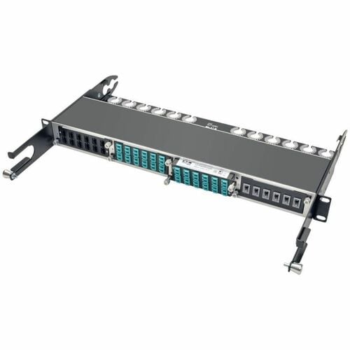 Tripp Lite 10GbE High Density Pass-Through Cassette 12 LC Duplex Connection - 24