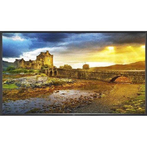 NEC Display LCD Professional Large Format Display - 65\" (1651 mm) LCD - 3840 x 2160