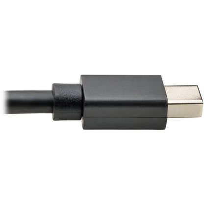 Tripp Lite by Eaton P586