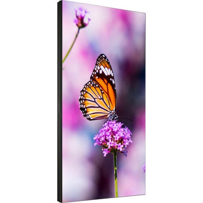 NEC Display 55\" Ultra-Narrow Bezel Professional-Grade Display