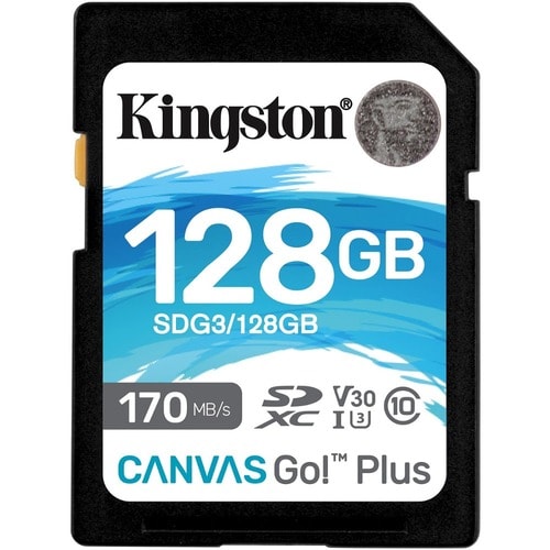 Carte mémoire SDXC CANVAS GO PLUS 170R C10 UHS-I U3 V30 128 Go