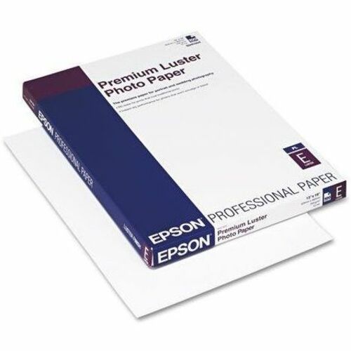 100-SHEET 13INX19IN PREM LUSTER PHOTO PAPER BULK PK