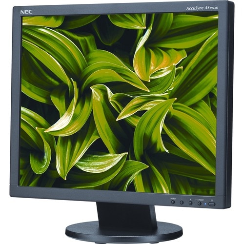 Écran LED 19 pouces 1280 x 1024 1000 pixels 1 AS194MI-BK DP HDMI VGA 6 mégapixels