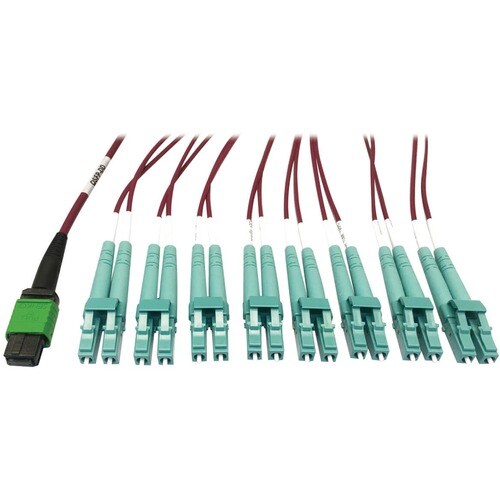 Tripp Lite series N846D