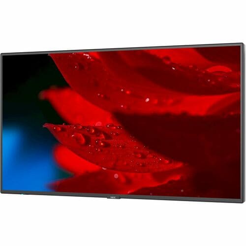 NEC Display 55\" Wide Color Gamut Ultra High Definition Professional Display - 55\" LCD