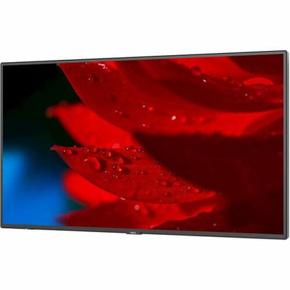 NEC Display 55\" Wide Color Gamut Ultra High Definition Professional Display - 55\" LCD