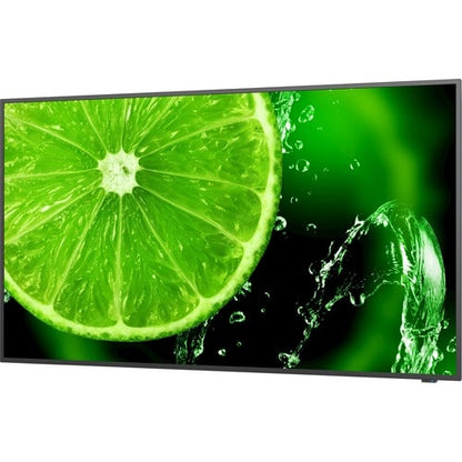 NEC Display 65\" 4K UHD Display with Integrated ATSC/NTSC Tuner - 65\" (1651 mm) LCD