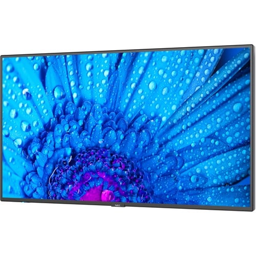 Écran professionnel ultra haute définition NEC Display 43" - LCD 43" (1092,20 mm)