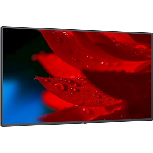 Pantalla NEC de 43" con amplia gama de colores, ultraalta definición, profesional