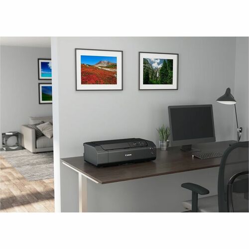 Canon PIXMA PRO-200 Desktop Wired/Wireless Inkjet Printer -