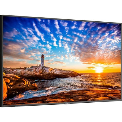 Sharp NEC Display 55\" Wide Color Gamut Ultra High Definition Professional