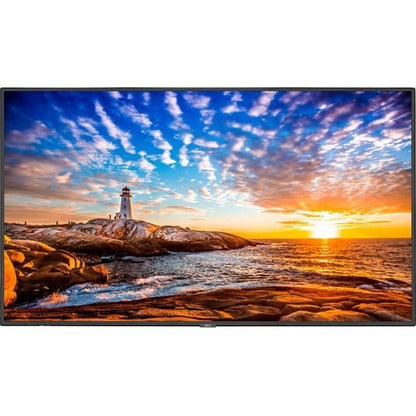 Sharp NEC Display 55\" Wide Color Gamut Ultra High Definition Professional
