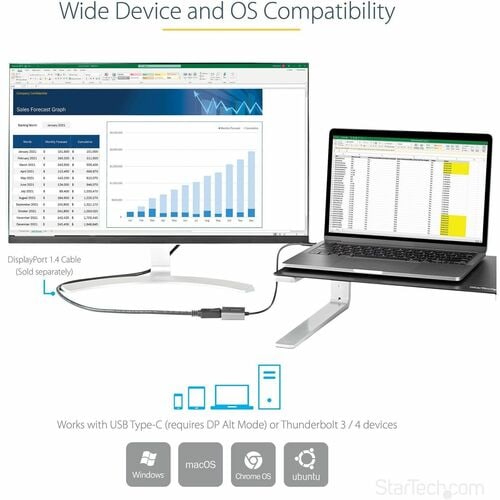 StarTech.com USB C to DisplayPort Adapter