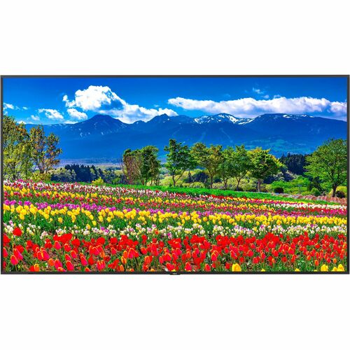 Sharp NEC Display 75\" Ultra High Definition Professional Display - 75\" LCD - In