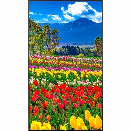 Sharp NEC Display 75\" Ultra High Definition Professional Display - 75\" LCD - In