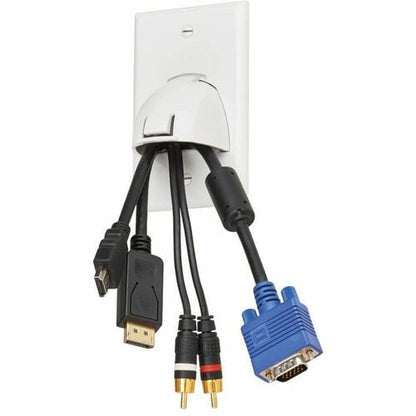 Tripp Lite by Eaton Single-Gang Up-or Down-Angle Bulk Cable Wall Plate, White, T