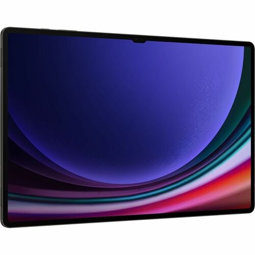 B2C UNIQUEMENT GRIS GALAXY TAB S9 ULTRA 12 Go_512 Go