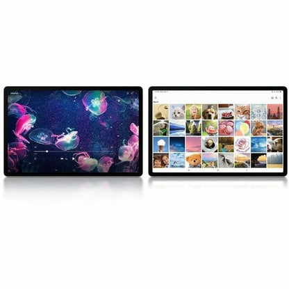 Tablette B2B S9FE+ 8 Go + 256 Go Argent