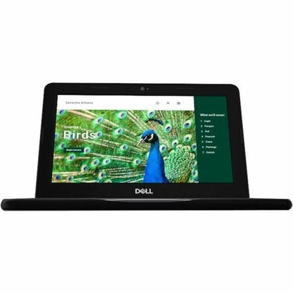 CHRMBK 3120 8GB (1DIMM) 64GB EMMC NT 1366X768 WLS 3C 42WH