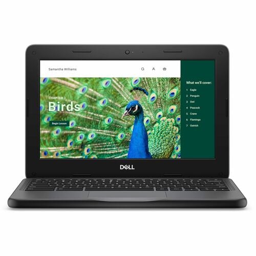 CHRMBK 3120 4GB (1DIMM) 64GB EMMC NT 1366X768 WLS 3C 42WH