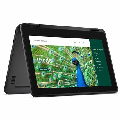 CHRMBK 3120 4GB (1DIMM) 64GB EMMC NT 1366X768 WLS 3C 42WH