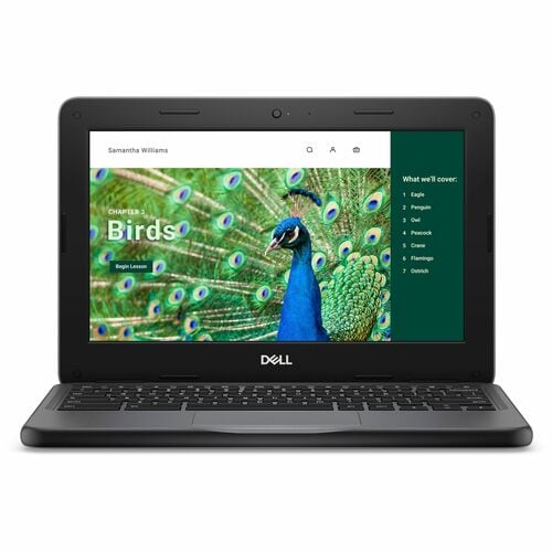 CHRMBK 3120 2IN1 4GB (1DIMM) 64GB EMMC T 1366X768 WLS 3C 42WH