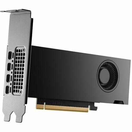 NVIDIA RTX 2000 ADA 16 GB 4MDP GFX