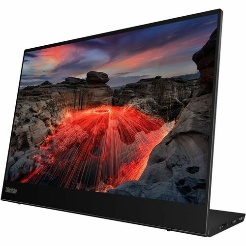 Lenovo ThinkVision M14t 14\" Class LED Touchscreen Monitor - 16:10 - 6 ms
