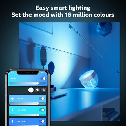 Signify Hue Iris Gen4 Nam Se Argent