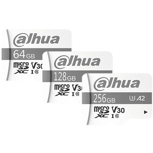 Dahua 256GB SD card (DHI-TF-P100/256GB)