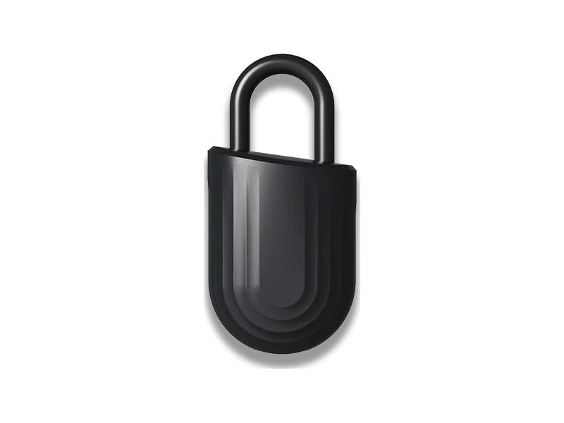 Candado inteligente Igloohome Lite negro