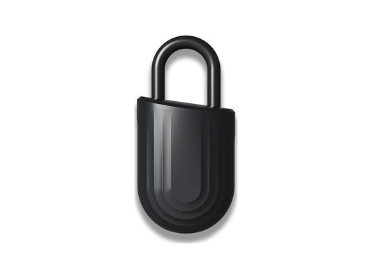 Igloohome Smart Padlock Lite Black