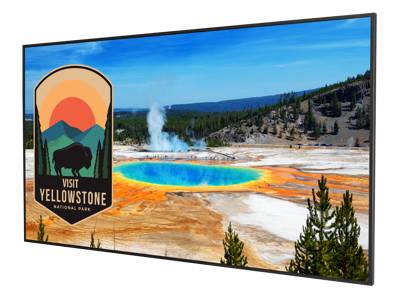 Pantalla plana de 43 pulgadas en diagonal, UHD, retroiluminación D-Led, brillo de 500 nits, 16