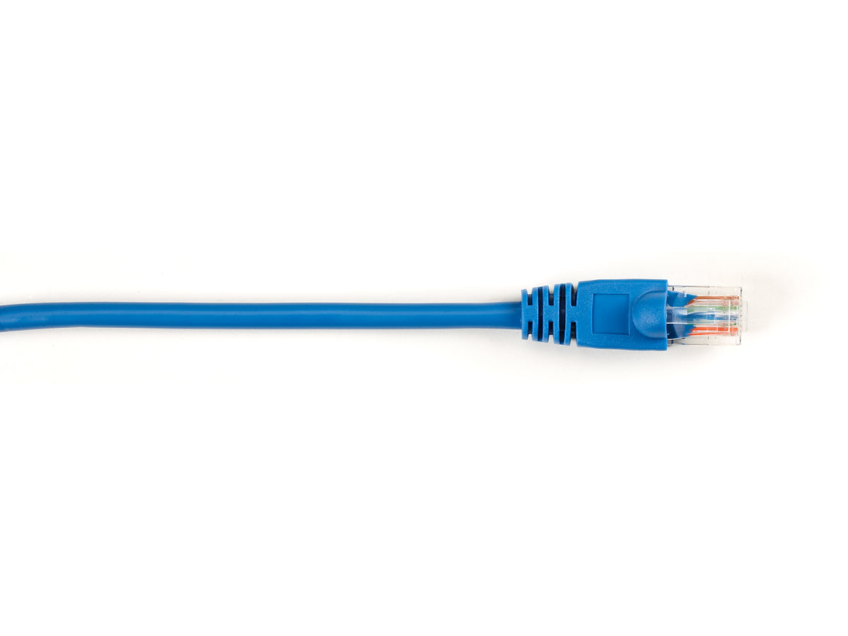 Patch de protection moulé Cat5E bleu de 7,6 m (25 pi) de Black Box Corp