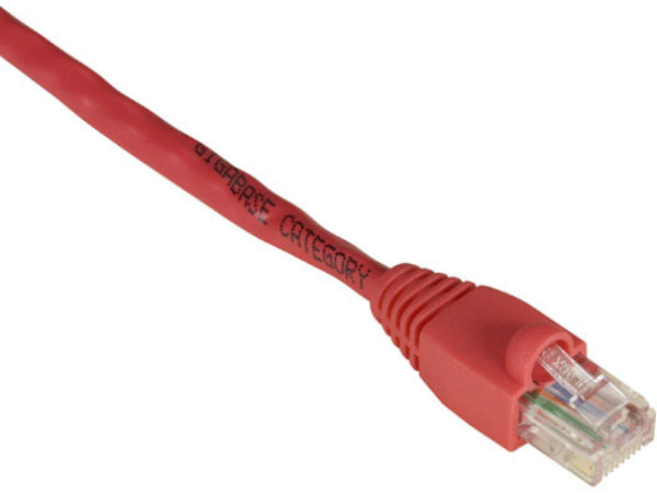 Câble de raccordement Cat5E (UTP) Black Box Corp, numéro de série Evcrb83-0001