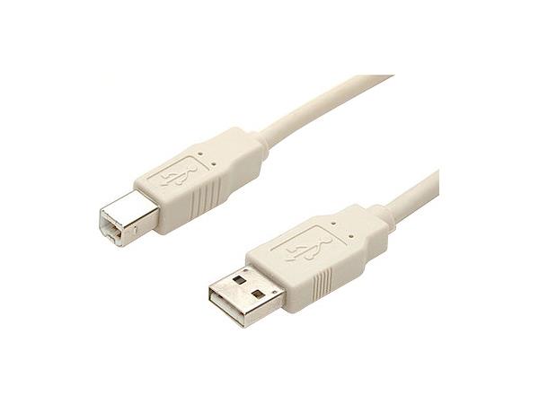 Startech.Com 6 Ft Beige A To B Usb 2.0 Cable - M/M - 6Ft Type A To