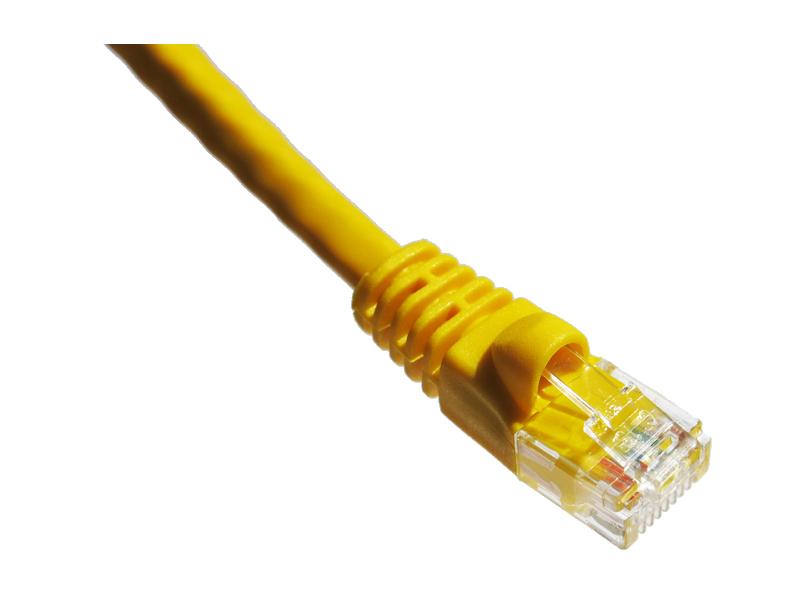Câble de raccordement blindé Axiom Cat6 550 MHz S/FTP 6 pouces avec gaine moulée (Y)