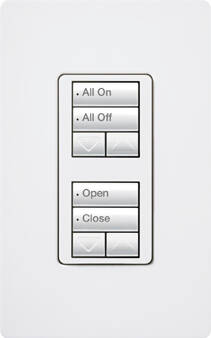 Lutron RadioRA2 Hybrid Keypad Dual Group Dual Raise Lower, Gray (RRD-HN2RLD-GR)